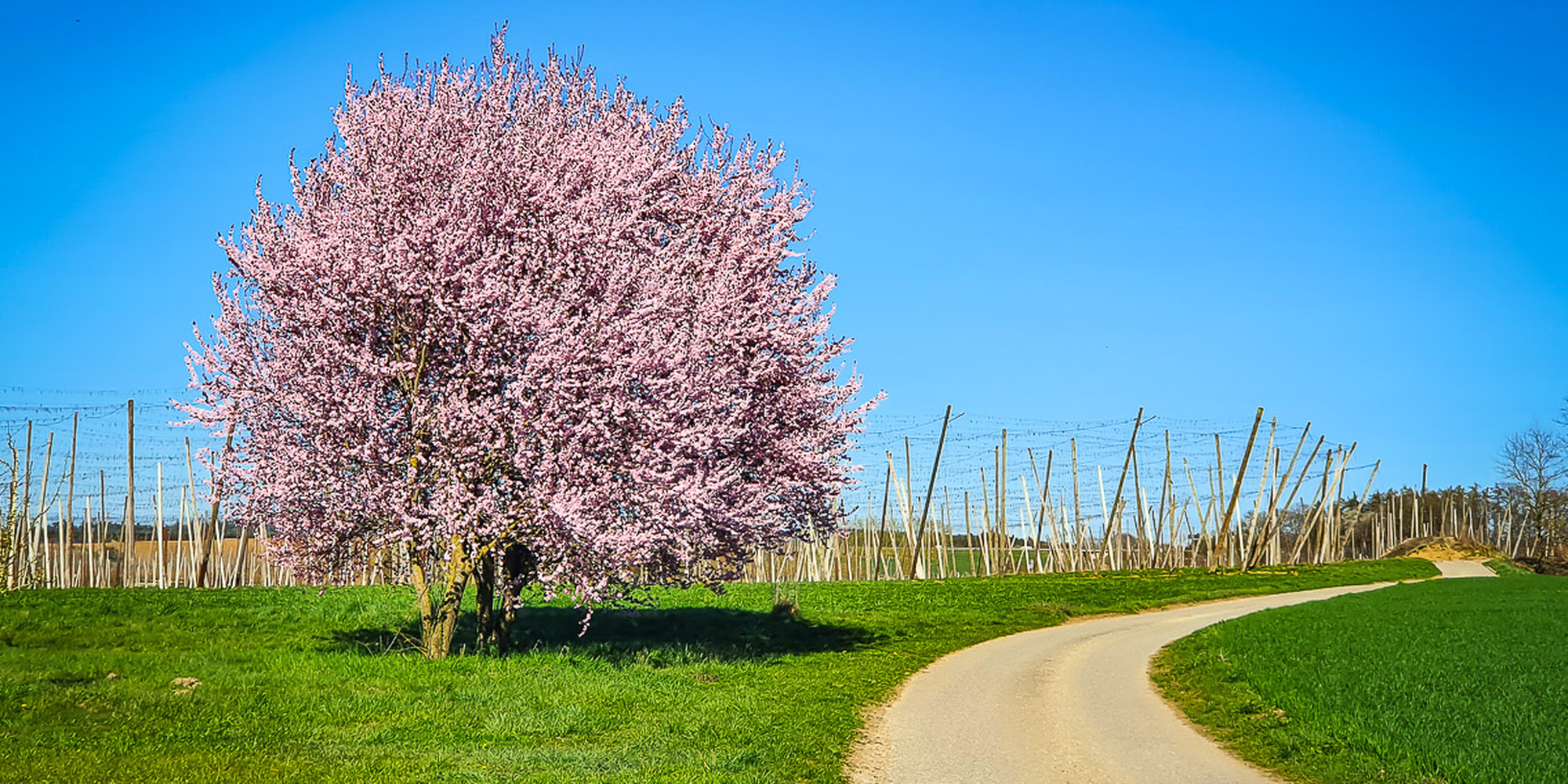 Hallertauer Hopfentour